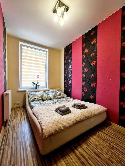 Mikolajki Apartament Miedzy Mostami מראה חיצוני תמונה